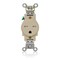 Leviton Single Receptacle Outlet, 15A, Ivory, 250V T5661-I - alternate 1