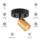Vidalite Shura Black & Brass Spot Light with Adjustable Head, Integrated LED Bulb, 3000k, 490 Lumens CE1007790 - alternate 3