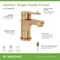 Symmons Identity Single Hole Single Handle Bathroom Faucet with Push Pop Drain (1.0 GPM) SLS6712BBZPP - alternate 2
