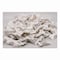 Stewart Superior Thank You Have a Nice Day Mints, White Buttermint, Individually Wrapped, 1000PK CJ-3007 B - alternate 3