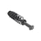 Fcs Struts Suspension Strut And Coil Spring Assembly 1355107 - alternate 2