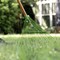 Ames 54 in. Hardwood Handle Steel Leaf Rake, 22-Tine, 4-Pack 10000-07557 - alternate 3