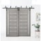 Sartodoors Barn Bypass Interior Door, 72" x 96", Gray QUADRO4088BBB-SSS-7296 - alternate 1