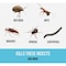 Bugg SLAYER 32 Oz. Ready To Use Trigger Spray Bed Bug Killer 41232 - alternate 2