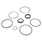 Agco SEALS KIT, AGCO OEM 700719999 700719999 - alternate 2