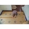 Builder Board McCoy's Floor Protector Paper 38 in. W X 100 ft. L Paper Beige BLDLS38100C - alternate 3