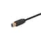 Monoprice Select USB 3.0 Type-A to Type-B Cable_ 6ft_ Black 38604 - alternate 2