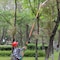 Vevor Manual Pole Saw Extendable Tree Pruner 7.3-27 ft Fiberglass Pole Scissors GZJDJZ-8m8 - alternate 2
