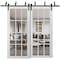 Sartodoors Sliding Closet 12 Lites Clear Glass Barn Bypass Doors, Felicia 3355 White Silk, Sturdy 6.6ft Rails FELICIA3355BBB-WS-64 - alternate 1