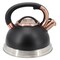 Mr. Coffee Flintshire 2.2 Quart Stainless Steel Whistling Tea Kettle in Black 143792.01 - alternate 2