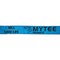 Mytee Products Winch Straps 4inx30ft Blue Tie Down w/Delta Ring WLL# 5400 lbs, 10PK WS430D-Bx10 - alternate 2