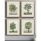 Homeroots Set Of Four Countryside Growth Gold Framed Print Wall Art, 4PK 525978 - alternate 2