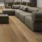 Daltile Asher Bend 9in. x 71in. Glue Down Luxury Vinyl Flooring 35.36 Sq Ft, 8PK AB24971GD20ML3M - alternate 2