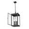 Z-Lite Hartwell 5-Light Outdoor Chain Mount Ceiling Fixture, 12 in W, Sand Black 5019CHXL-BK - alternate 3