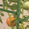 Gardeners Blue Ribbon Green Steel Garden Stakes SA12 - alternate 2