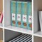 Acrimet Magazine File Holder Vertical Rack, Durable Plastic Desk Organizer, Clear Green, 2PK 277.5 - alternate 3