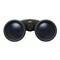 Nikon Prostaff P3 10X 42-Mm Binoculars With Neck Strap, Case & Caps 16777 - alternate 2