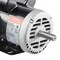 Vevor 5HP Air Compressor Electric Motor 230V 25A 3450RPM 56Hz Frame CW/CCW Rotation DP120556HZ - alternate 3