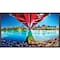 Nec 65'' LED LCD UHD 400nits HDMIx2 ME651-AVT3 - alternate 4