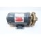 Teel BRONZE CENTRIFUGAL PUMP 1IN X 3/4IN 3/4HP 115/230V-AC 1P789 - alternate 1