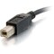 C2G C2G 1-Port USB Extender - USB 1.1 Over Cat5 SuperBooster Dongle Extender - RJ45 to USB B Receiver 29353 - alternate 2