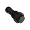 Cnh VALVE, CNH OEM 21.31594 21.31594 - alternate 1