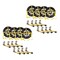 Mytee Products (8 Pack) 2inx10ft Ratchet Wheel Net Lasso Strap Auto Hauling with Flat Hook Dou..., 8PK RST-210SM-DSx8 - alternate 1