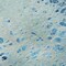 Homeroots 8' X 10' Light Blue And Ivory Abstract Washable Indoor Outdoor Area Rug 643550 - alternate 4