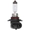 Peak Classic Vision Halogen Forward Lighting Automotive Bulb 9145 9145-BPP - alternate 2