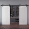 Sartodoors Double Barn Door 48x96 inches White Solid Core Modern Interior ROYAL9888DB-B-EMAL-4896 - alternate 1