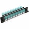 Tripp Lite TOOLLESS PASS-THROUGH FIBER PATCH PANEL MMF/SMF 8 LC CONNECTORS N492-08D-LC - alternate 1