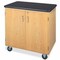 Diversified Spaces Mobile Storage Cabinet, 36" W, 36" Height, 500 lb 4401K - alternate 1