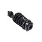 Fcs Struts Suspension Strut And Coil Spring Assembly 1331573R - alternate 2