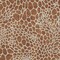 Homeroots 8' X 10' Brown And Beige Geometric Washable Indoor Outdoor Area Rug 595112 - alternate 3