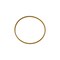 Cnh RING, CNH OEM 468340R1 468340R1 - alternate 1