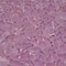 Apollo Tile Orchid Pink 11.2 in x 11.2 in Glass Glossy, Matte Floor and Wall Mosaic Tile 4.36 sqft/case, 5PK APLGEM883A - alternate 3