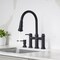 Blanco Empressa Bridge Pull-Down Faucet 1.5 GPM, Matte Black 443024 - alternate 4