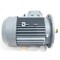 Magnetek AC MOTOR 5.4HP 3505RPM 230/460V-AC 3PH 9-391815-60 - alternate 2