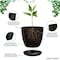 Lifemaster Plant Pots with Multi Drainage Holes, Sturdy Plastic, Stackable, Indoor/Outdoor, Black, 5PK LMFLOPBLK55 - alternate 3