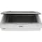 Epson Expression 12000XL Graphic Sca 12000XL-GA - alternate 1