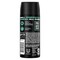 Axe Apollo Sage and Cedarwood Deodorant Body Spray, 4 Ounce, 12PK 68921147 - alternate 3