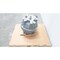 Sundyne GEARBOX GEAR DRIVE 1:3.83 200HP GB01AC14 - alternate 3