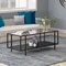 Homeroots 45" Clear And Black Glass And Steel Coffee Table With Shelf 520933 - alternate 2