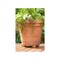 Pot Toes Planter Feet The Decksaver 1in H X 2in W X 3in D Plastic Terracotta Terracotta PT-12TCHT - alternate 2