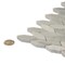 Apollo Tile Coin Gray 11.9 in x 11.9 in Glass Glossy Floor and Wall Mosaic Tile 4.92 sqft/case, 5PK APLBR88097A - alternate 2