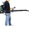 Edendirect High-Performance 2-Stroke Backpack Leaf Blower, 63.3cc Engine, 750CFM ED-W46551395 - alternate 2