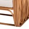 Bali & Pari Tiramisu Bohemian Light Honey Rattan Arm Chair 251-13877-ZORO - alternate 2