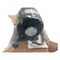 Welbilt MOTOR; BODINE #6128 TYPE 3, OEM KE50577 - alternate 2