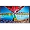 Nec 50'' LED LCD UHD 400nits HDMIx2 ME501-AVT3 - alternate 2