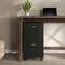 Lavish Home 2 Drawer Wood File Cabinet Filing Cabinet with Lock Rolling File Cabinet for Under Desk Storage 80-FC-4-BLK - alternate 1